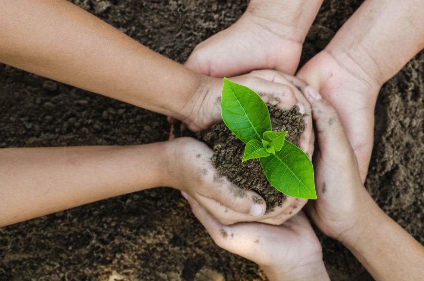 Why More and More Schools are Focusing on Sustainability Why More and More Schools are Focusing on Sustainability